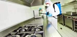 dératisation restaurant en cinq étapes