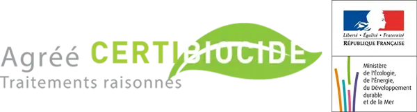 Triomphez sur les rongeurs : dératisation 95 efficace et durable !