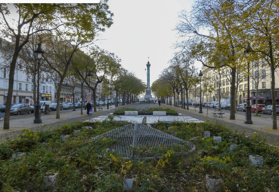 punaise de lit paris 11