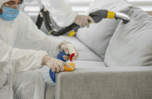 désinsectisation d'un appartement après piqure punaise de lit
