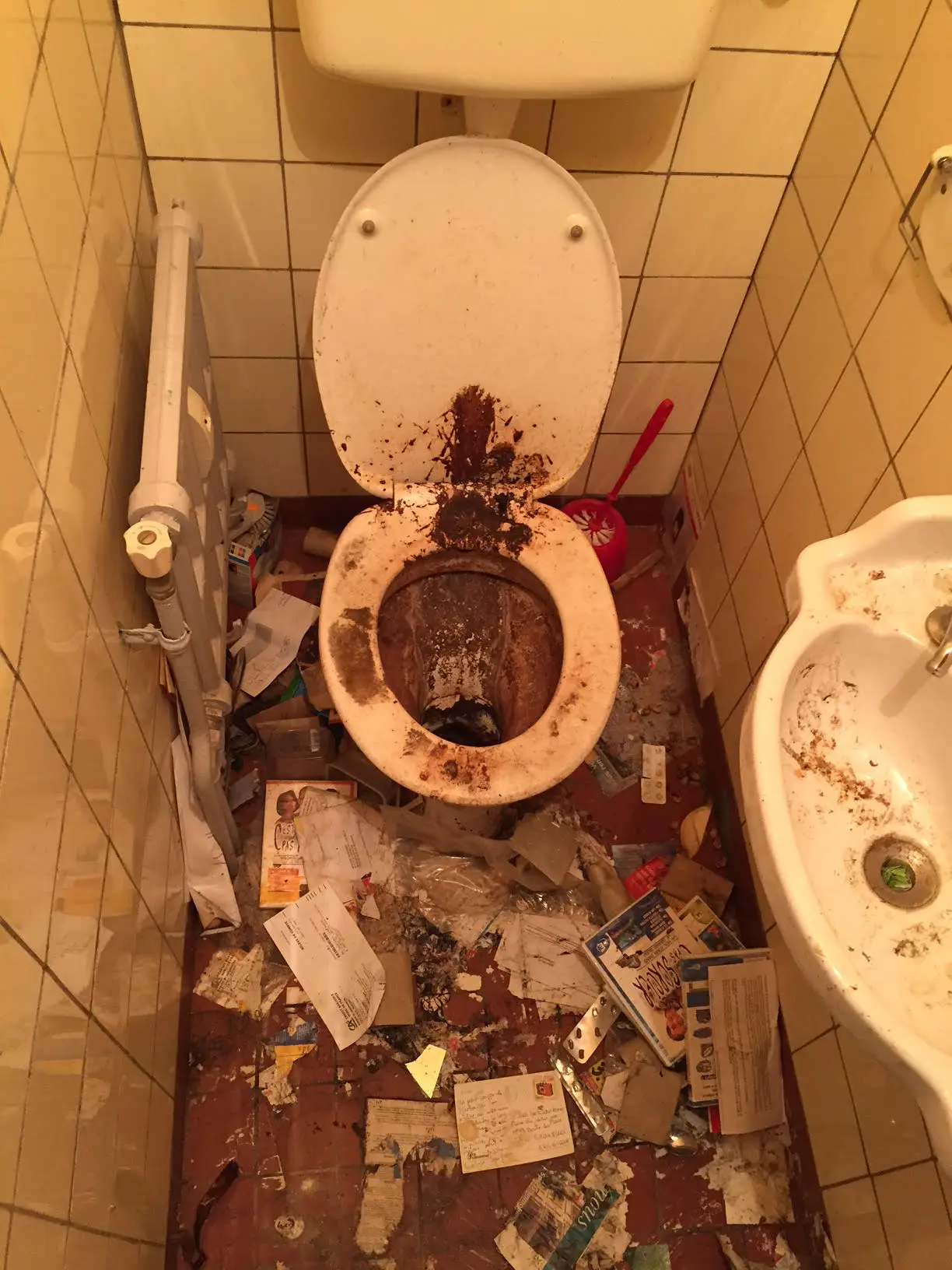 Sanitaires avant nettoyage
