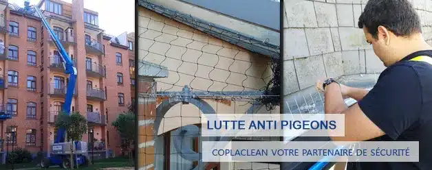 Traitement anti pigeons sur Paris & Île-de-France avec Coplaclean Lutte anti pigeons et nuisibles rampants