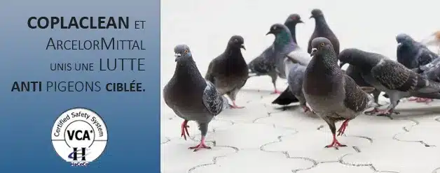Traitement anti pigeons sur Paris & Île-de-France avec Coplaclean Coplaclean et ArcelorMittal unis dans la lutte anti pigeons ciblée
