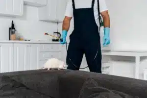 comment choisir son dératiseur à paris. Homme contre rat blanc