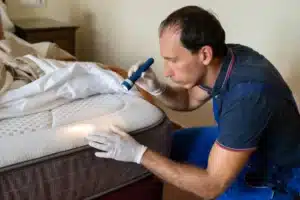 comment choisir son professionnel punaise de lit