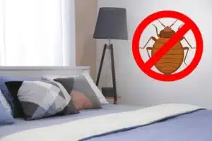 prevention punaises de lit
