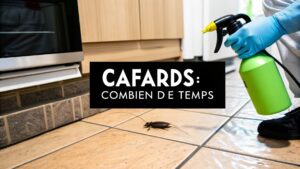 Confirmation de demande de devis Cafards Confirmation de demande de devis Cafards