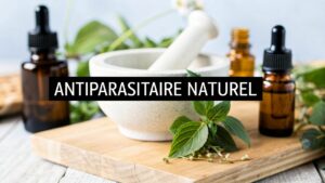 Dératisation Professionnelle dans le 4ème Arrondissement de Paris