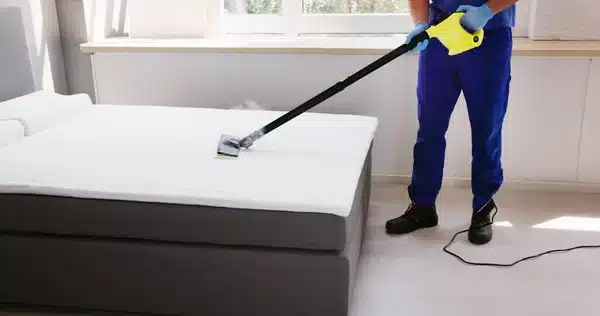 traitement punaises de lit vapeur sèche