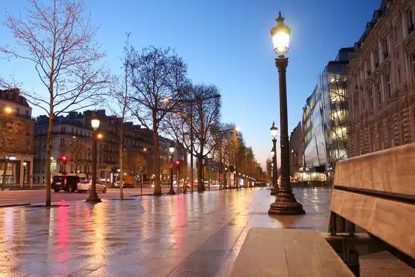 desinsectisation cafards paris 8