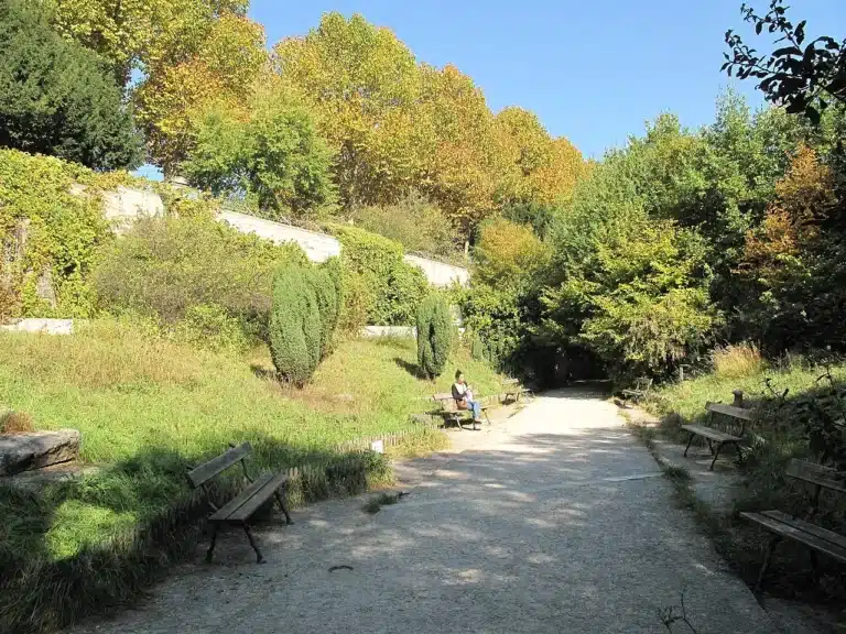 deratisation paris20