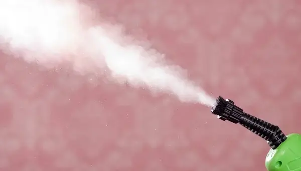 Le traitement vapeur sèche contre les punaises de lit : une solution à envisager traitement vapeur sèche contre les punaises de lit