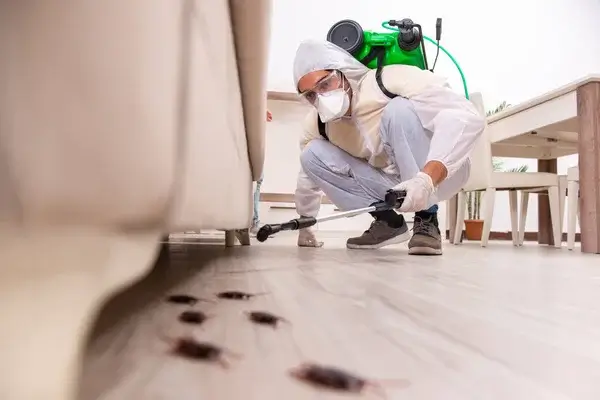 Quel prix pour une désinsectisation des cafards en 2025 ? professionnel en arrière plan en train de traiter une maison cafard