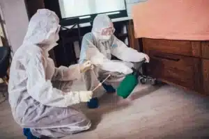 professionnels qui installent piège punaise de lit